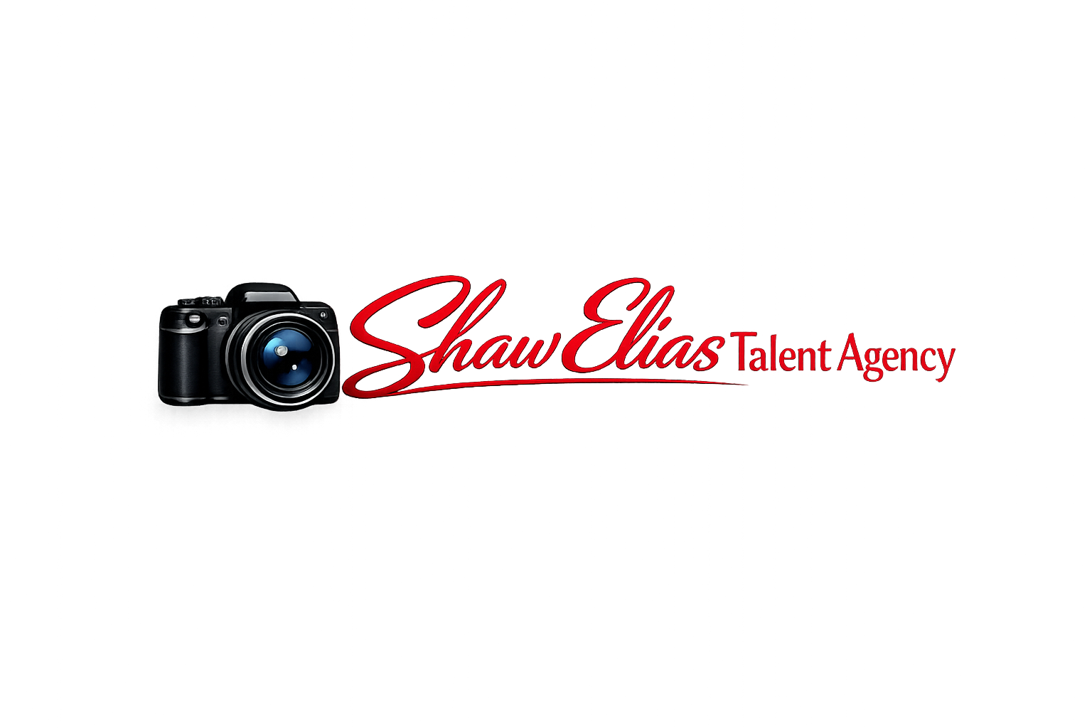 Shaw Elias Talent Agency Logo